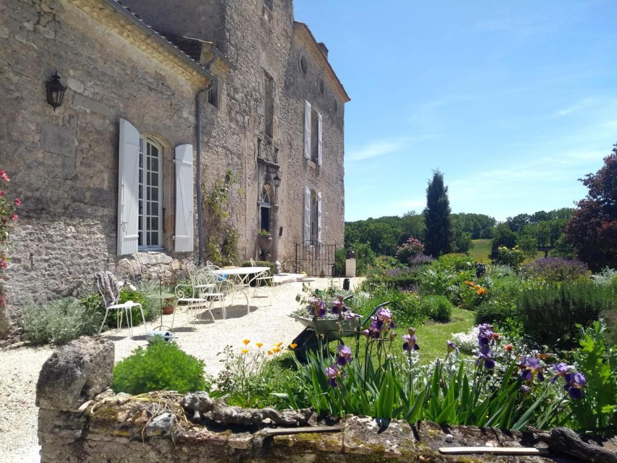 Chateau Barayre - Beautiful 12Th Century Castle With Pool And Large Garden Laussou Exterior foto